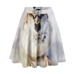 Do Not Mess With Sparrows High Waist Skirt by FunnyCow