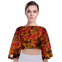 Orange, Yellow Cotoneaster Leaves In Autumn Tie Back Butterfly Sleeve Chiffon Top by FunnyCow