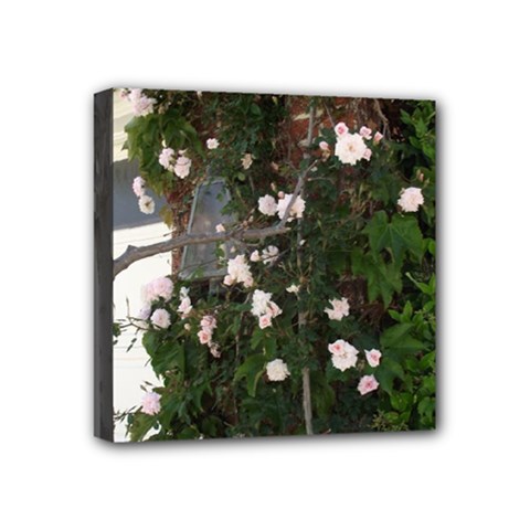 Balboa 1 Mini Canvas 4  X 4  by bestdesignintheworld