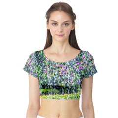 Lilacs Of The First Water Short Sleeve Crop Top by FunnyCow