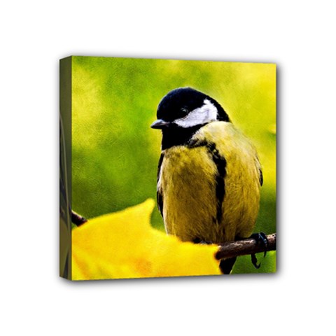 Tomtit Bird Dressed To The Season Mini Canvas 4  X 4  by FunnyCow