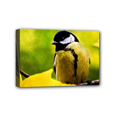 Tomtit Bird Dressed To The Season Mini Canvas 6  X 4  by FunnyCow