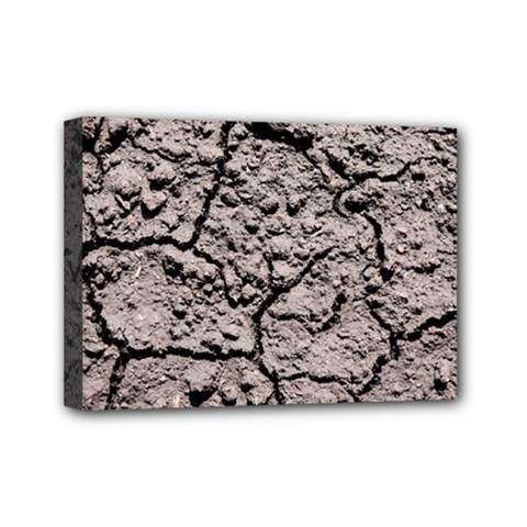 Earth  Dark Soil With Cracks Mini Canvas 7  X 5  by FunnyCow