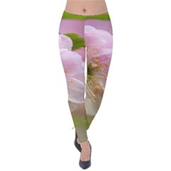 Single Almond Flower Velvet Leggings by FunnyCow