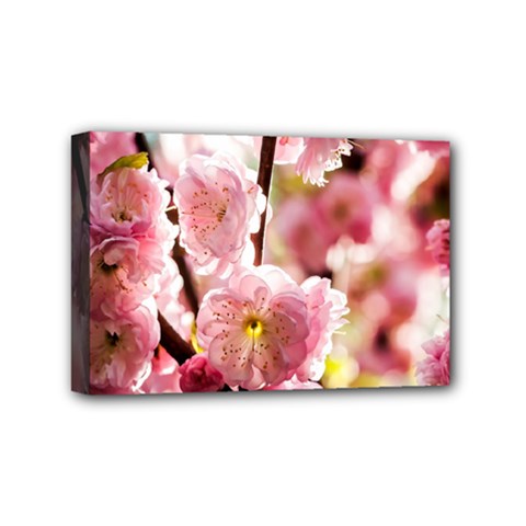 Blooming Almond At Sunset Mini Canvas 6  X 4  by FunnyCow