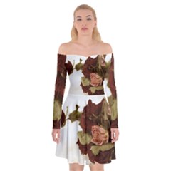 Shabby 1814373 960 720 Off Shoulder Skater Dress by vintage2030
