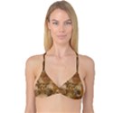 Background 1660940 1920 Reversible Tri Bikini Top View3