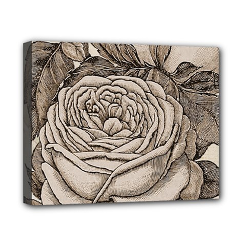 Flowers 1776630 1920 Canvas 10  X 8  (stretched) by vintage2030