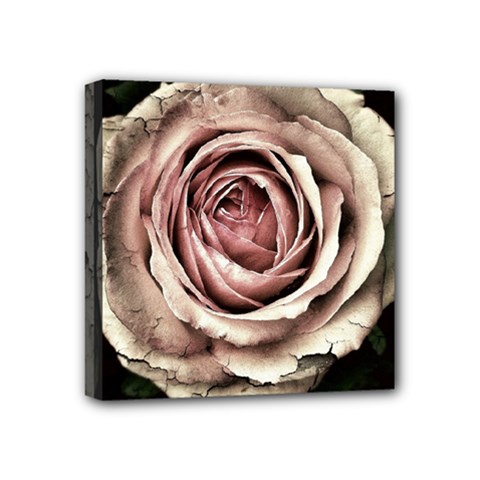 Vintage Rose Mini Canvas 4  X 4  (stretched) by vintage2030