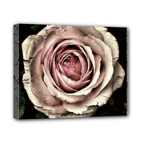 Vintage Rose Canvas 10  X 8  (stretched) by vintage2030