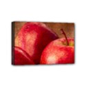 Three Red Apples Mini Canvas 6  x 4  (Stretched) View1