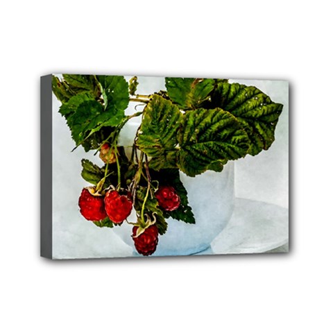 Red Raspberries In A Teacup Mini Canvas 7  X 5  (stretched) by FunnyCow