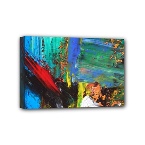 Garden Mini Canvas 6  X 4  (stretched) by WILLBIRDWELL