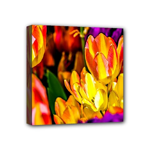 Fancy Tulip Flowers In Spring Mini Canvas 4  X 4  (stretched) by FunnyCow