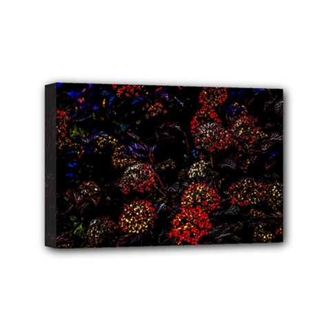 Floral Fireworks Mini Canvas 6  X 4  (stretched) by FunnyCow