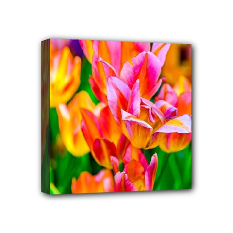Blushing Tulip Flowers Mini Canvas 4  X 4  (stretched) by FunnyCow