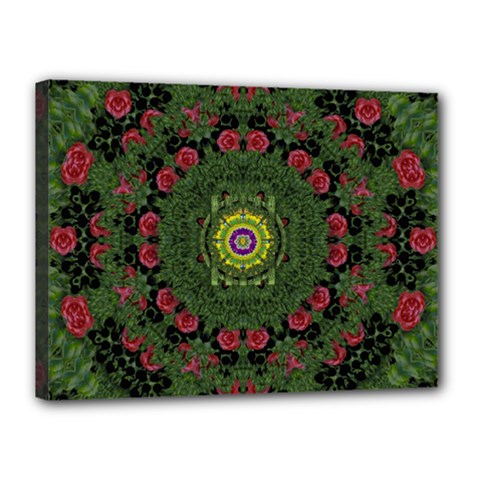 Sunshine Mandala In Rose Heaven Canvas 16  X 12  (stretched) by pepitasart