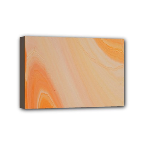 Orange 2 Mini Canvas 6  X 4  (stretched) by WILLBIRDWELL