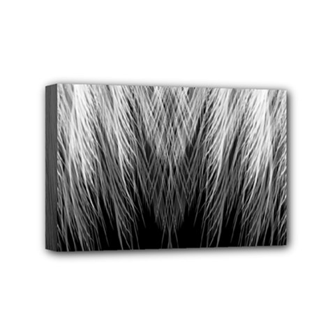 Feather Graphic Design Background Mini Canvas 6  X 4  (stretched) by Nexatart