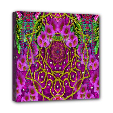 Star Of Freedom Ornate Rainfall In The Tropical Rainforest Mini Canvas 8  X 8  (stretched) by pepitasart