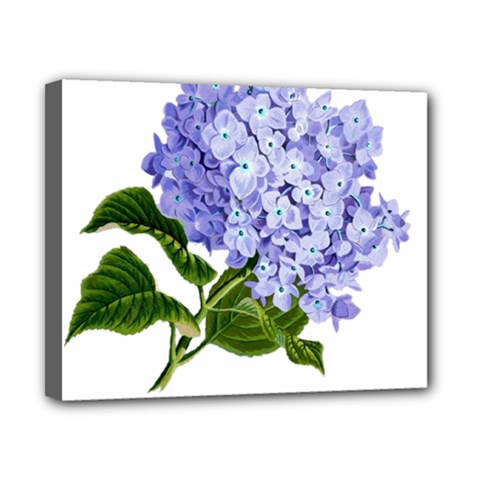 Flower 1775377 1280 Canvas 10  X 8  (stretched) by vintage2030