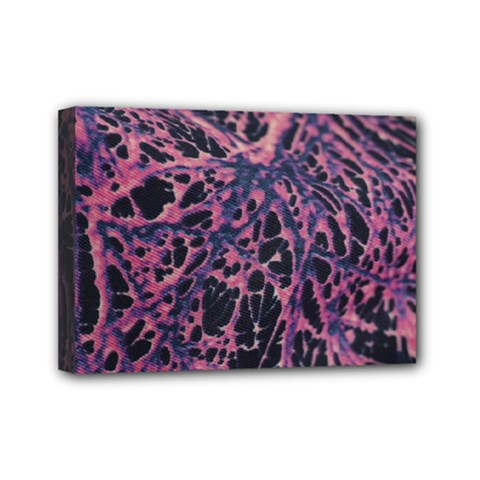 Fabric Textile Texture Macro Model Mini Canvas 7  X 5  (stretched) by Sapixe