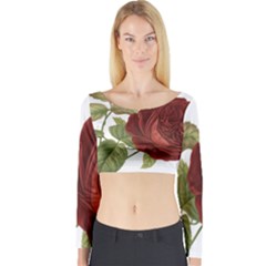 Rose 1077964 1280 Long Sleeve Crop Top by vintage2030