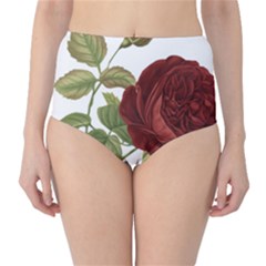 Rose 1077964 1280 Classic High-waist Bikini Bottoms by vintage2030