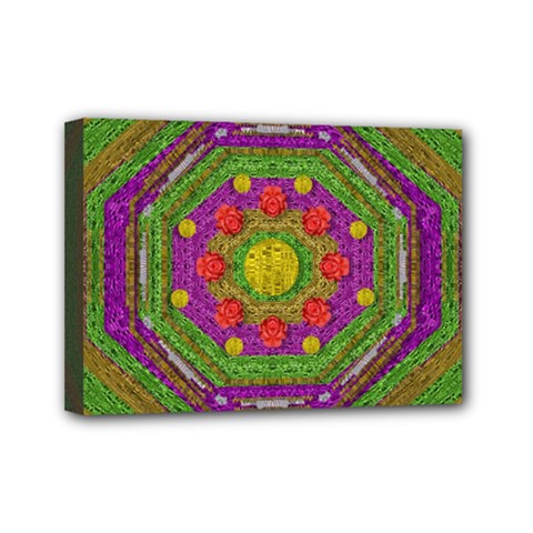 Flowers In Rainbows For Ornate Joy Mini Canvas 7  X 5  (stretched) by pepitasart