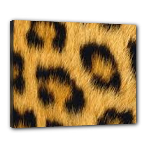 Animal Print 3 Canvas 20  X 16  (stretched) by NSGLOBALDESIGNS2