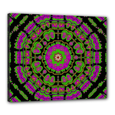 Flowers And More Floral Dancing A Happy Dance Canvas 24  X 20  (stretched) by pepitasart
