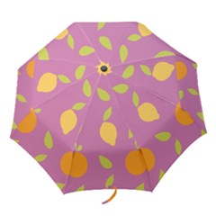 Seamlessly Pattern Fruits Fruit Folding Umbrellas by Nexatart
