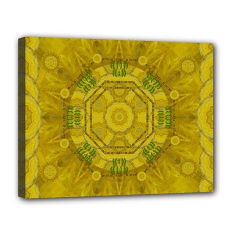 Sunshine Feathers And Fauna Ornate Canvas 14  X 11  (stretched) by pepitasart