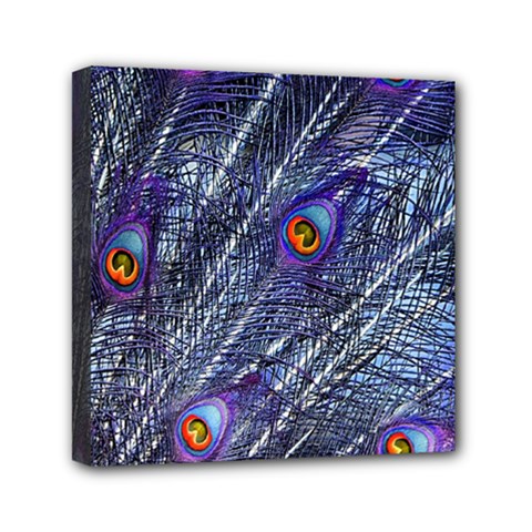Peacock Feathers Color Plumage Blue Mini Canvas 6  X 6  (stretched) by Sapixe
