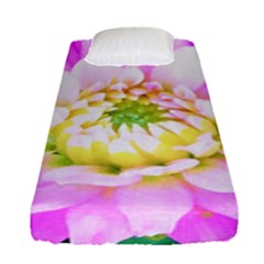 Pretty Pink, White And Yellow Cactus Dahlia Macro Fitted Sheet (single Size) by myrubiogarden