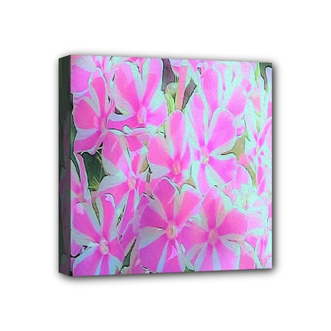 Hot Pink And White Peppermint Twist Garden Phlox Mini Canvas 4  X 4  (stretched) by myrubiogarden