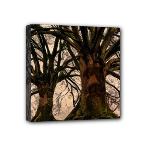 Ent Treant Trees Tree Bark Barks Mini Canvas 4  X 4  (stretched) by Pakrebo