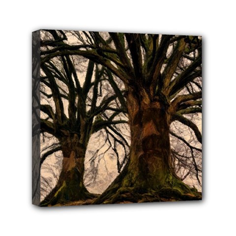 Ent Treant Trees Tree Bark Barks Mini Canvas 6  X 6  (stretched) by Pakrebo