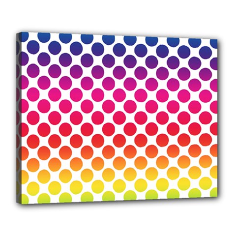 Polka Dots Spectrum Colours Dots Canvas 20  X 16  (stretched) by Pakrebo