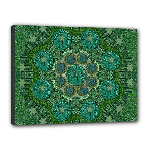 Stars Shining Over The Brightest Star In Lucky Starshine Canvas 16  X 12  (stretched) by pepitasart