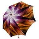 Rainbow Light Hook Handle Umbrellas (Large) View2