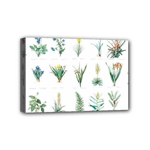 Ml-7-3 Mini Canvas 6  X 4  (stretched) by ArtworkByPatrick