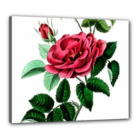 Ml-7-5 Canvas 24  X 20  (stretched) by ArtworkByPatrick
