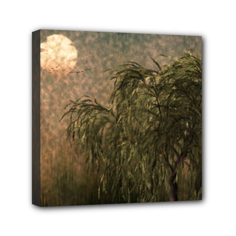 Willow At Sunset Mini Canvas 6  X 6  (stretched) by LoolyElzayat