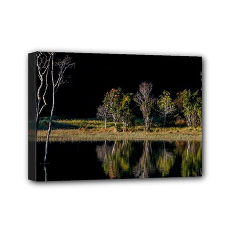 Soi Ball Symmetry Scenery Reflect Mini Canvas 7  X 5  (stretched) by Pakrebo
