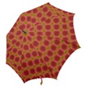 Zappwaits Retro Hook Handle Umbrellas (Small) View2