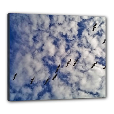 Pelicans In Flight Canvas 24  X 20  (stretched) by StarvingArtisan