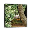 Garden of the Phoenix Mini Canvas 6  x 6  (Stretched) View1