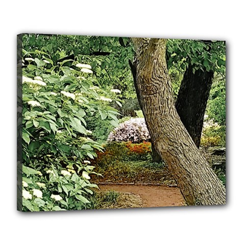 Garden Of The Phoenix Canvas 20  X 16  (stretched) by Riverwoman