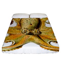 Animal Art Forms In Nature Clips Fitted Sheet (king Size) by Wegoenart